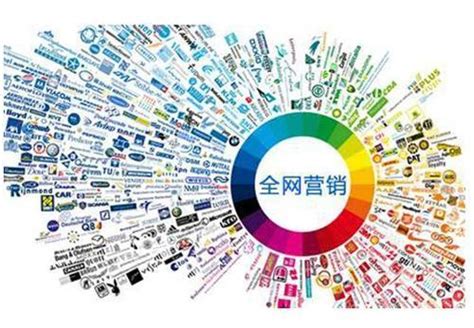 網(wǎng)絡(luò)推廣營銷實戰(zhàn)全攻略與推廣員高效執(zhí)行指南