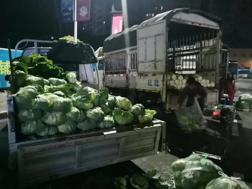 川祖廟農(nóng)貿(mào)市場(chǎng)整體搬遷，京投果蔬農(nóng)副產(chǎn)品批發(fā)市場(chǎng)引領(lǐng)忠縣商貿(mào)流通業(yè)轉(zhuǎn)型升級(jí)